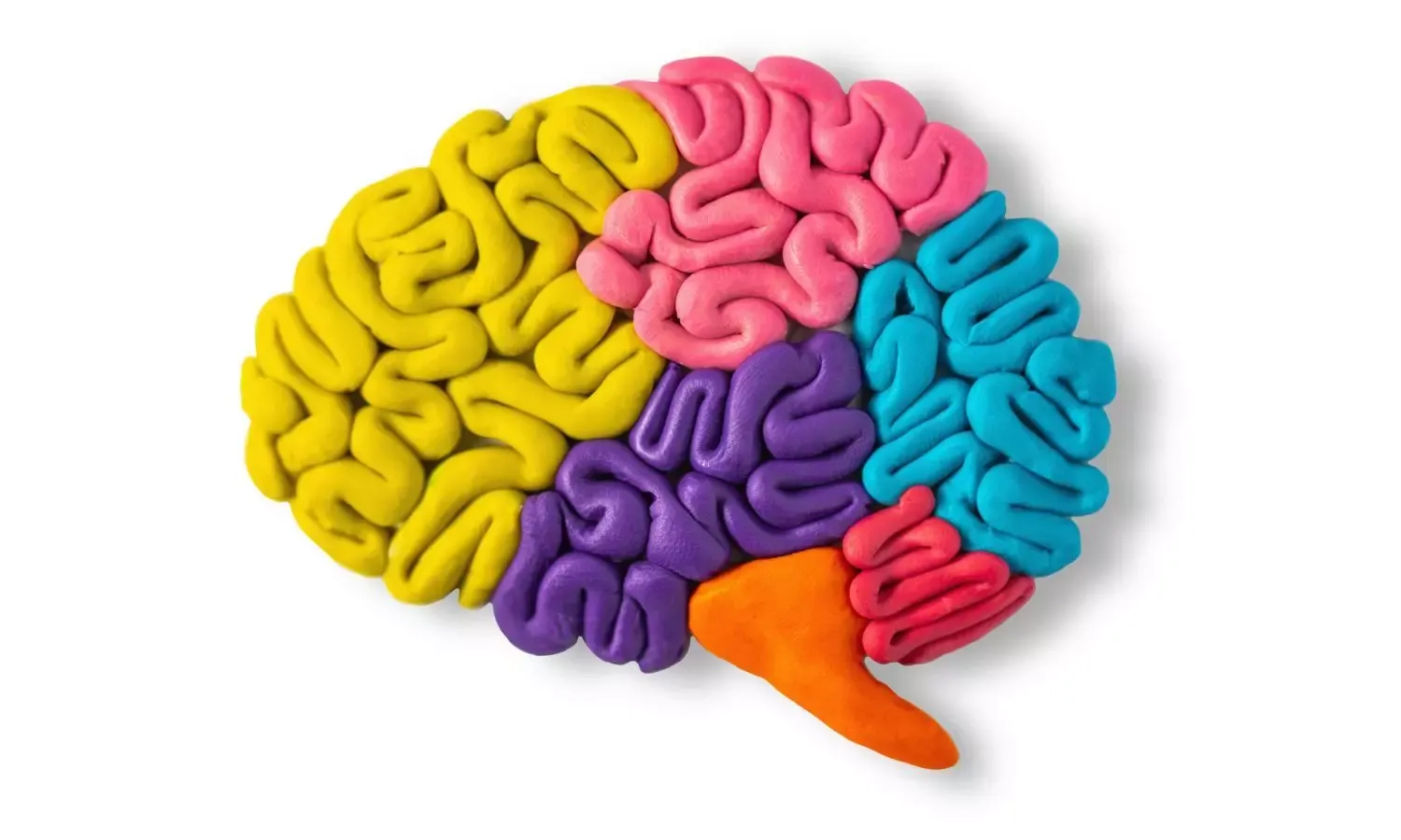 Artistic 3D brain made of colorful clay mimicking intestine shapes, representing the Gut-Brain Axis and the second brain concept for microbiome health.